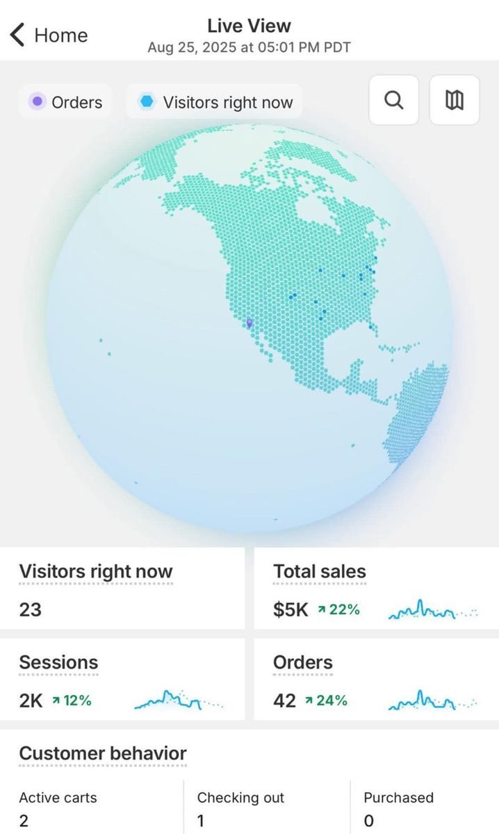 Shopify Live View - Real-Time Orders — live sales tracking